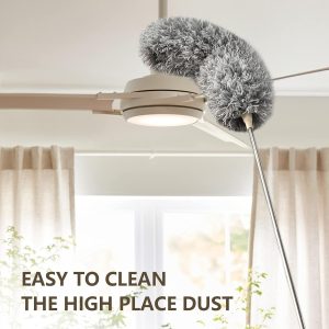 Cleaning & Organization